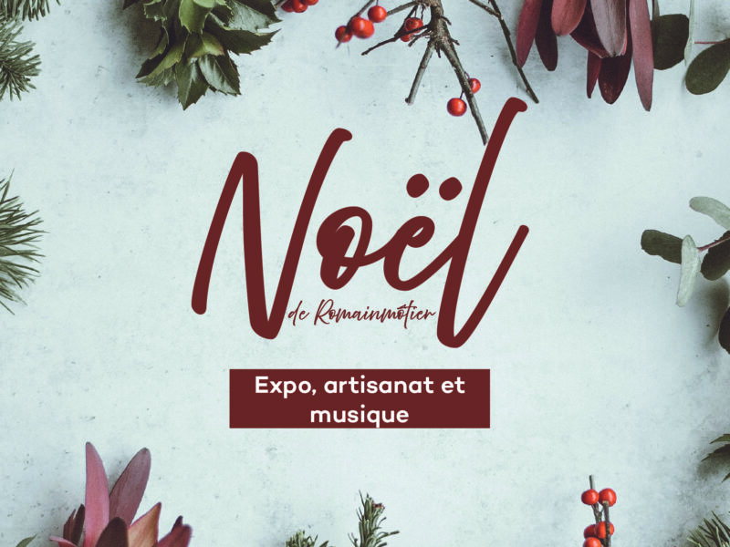 Musique Classique Inde du Nord | Abhishek Borkar & Pandit Rajkumar Misra